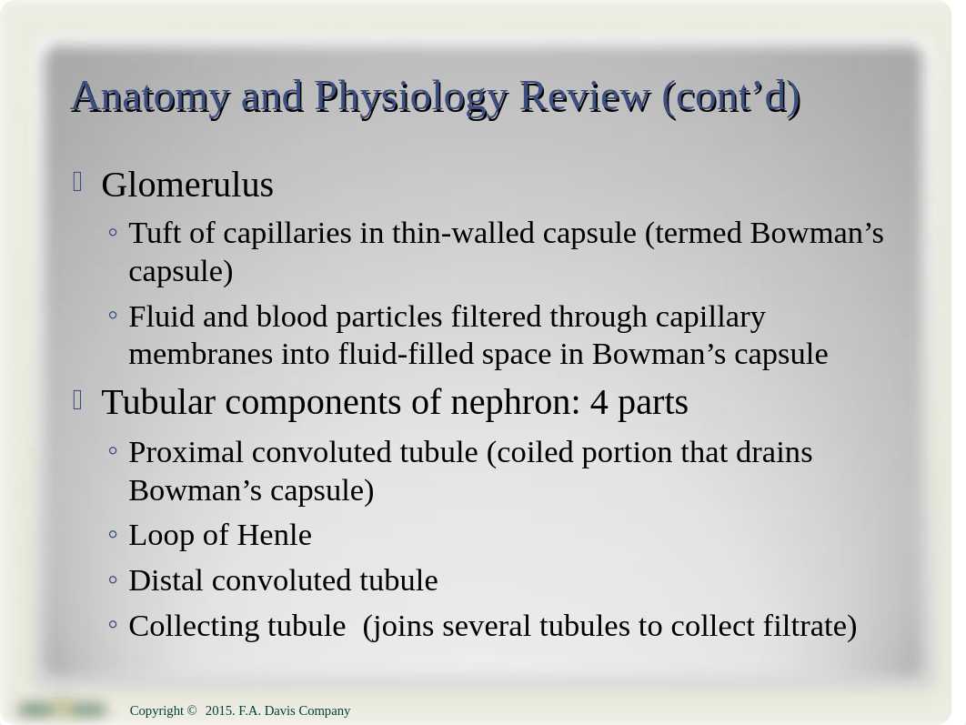 Ch31 caring for hte child with a genitoruinary condition.ppt_d9tonyh3kub_page3