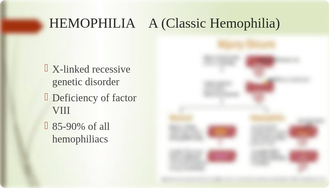 Hematologic Problems cont'd-STUDENT VERSION(1)_d9tt739d6ut_page5