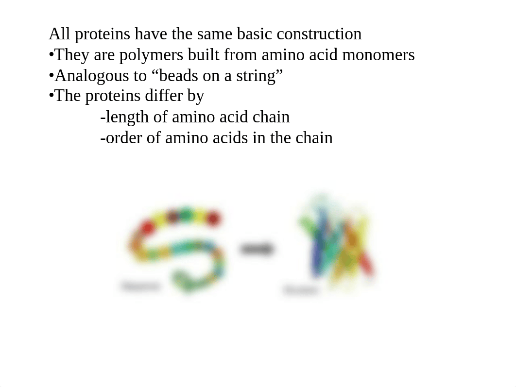 Proteins(4).pdf_d9tx5f76dyc_page4