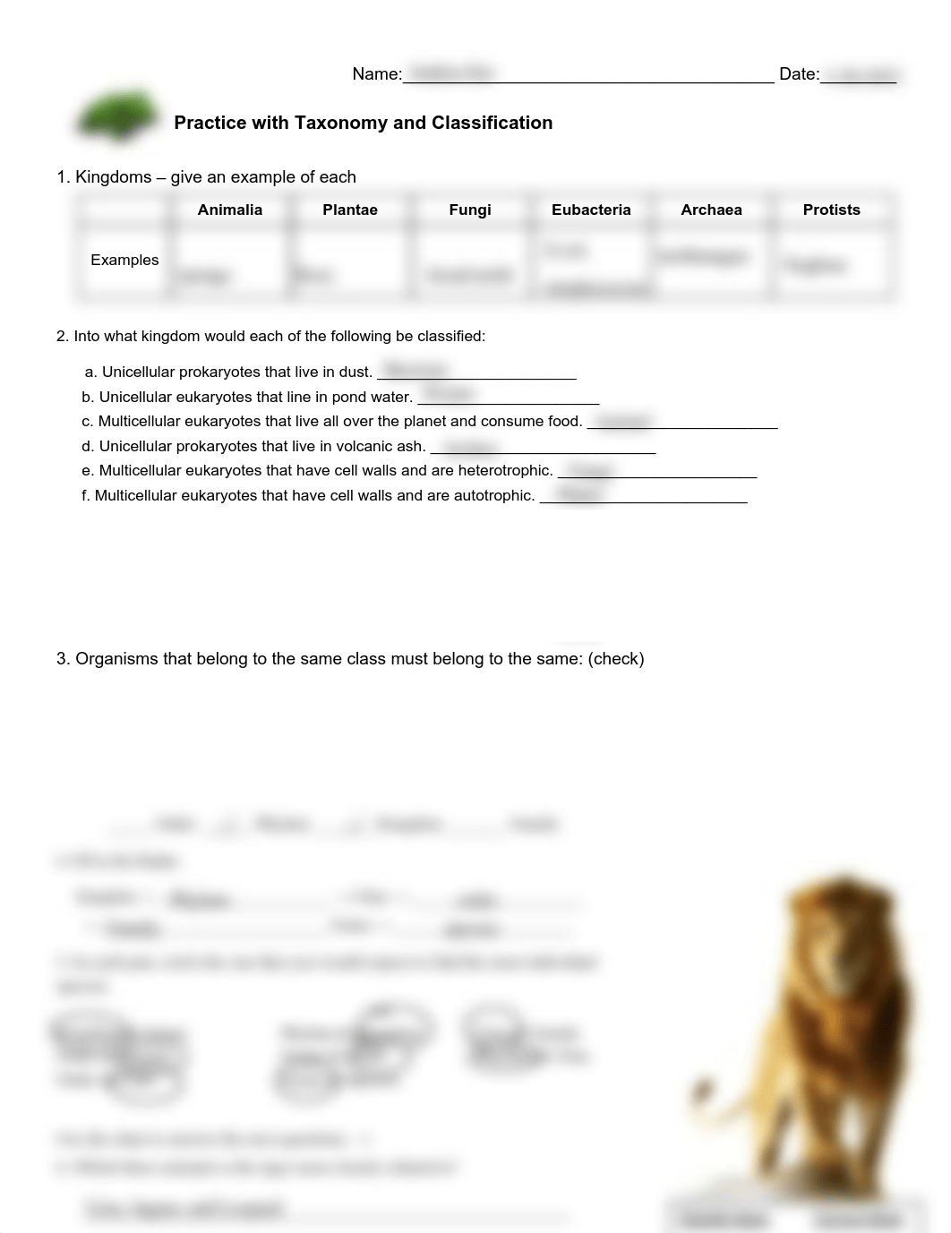 Kami Export  - Taxonomy_and_Classification_practice.pdf_d9tza9c3qn1_page1