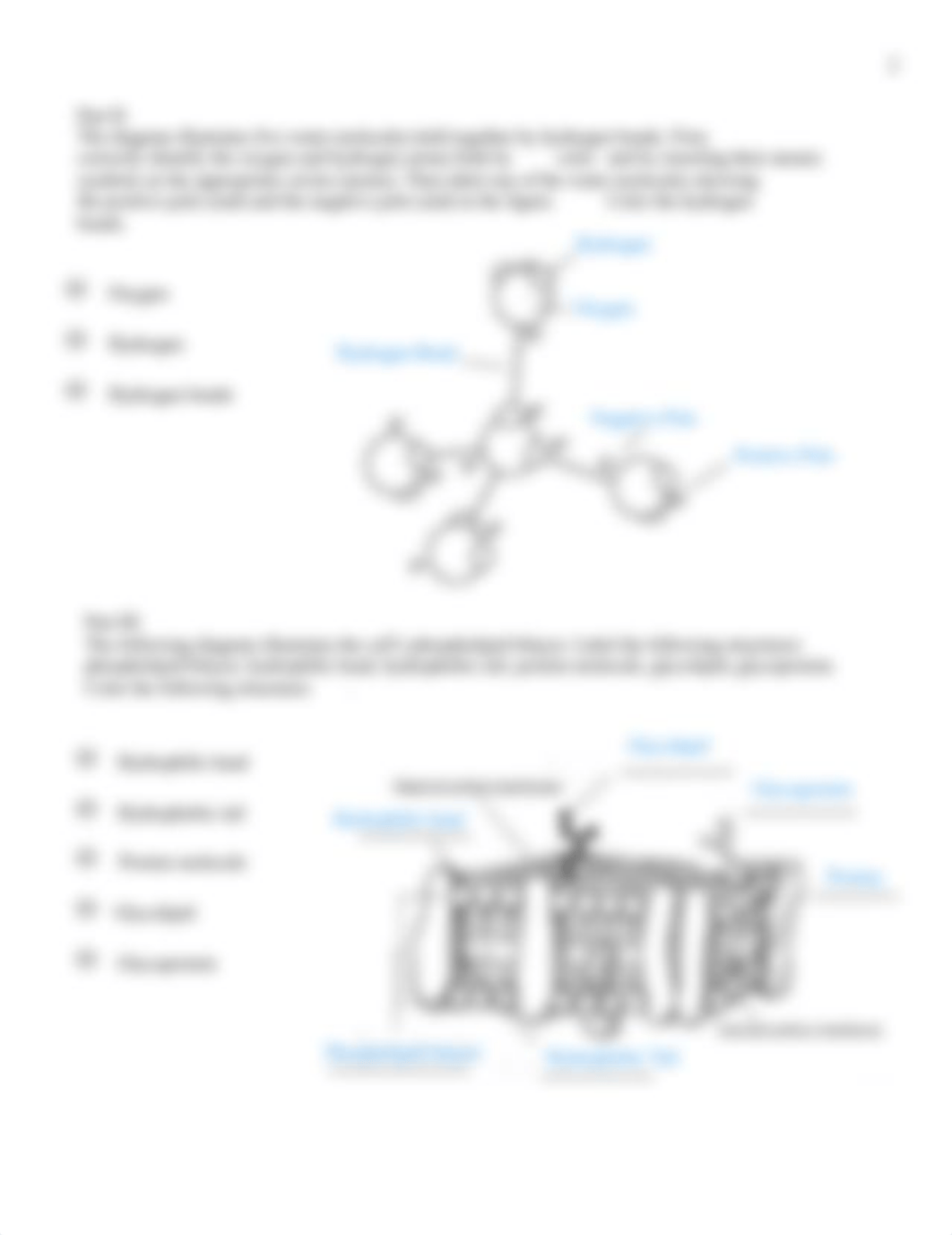 Clinical App and Diagrams Chemistry and Enzymes KEY Physiology (1).pdf_d9u5qj5k8jr_page2