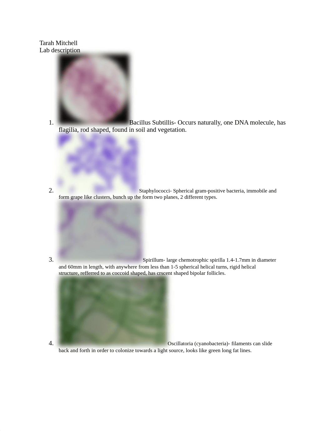 Tarah Mitchell- mircrobiology_d9ucczvcki5_page1