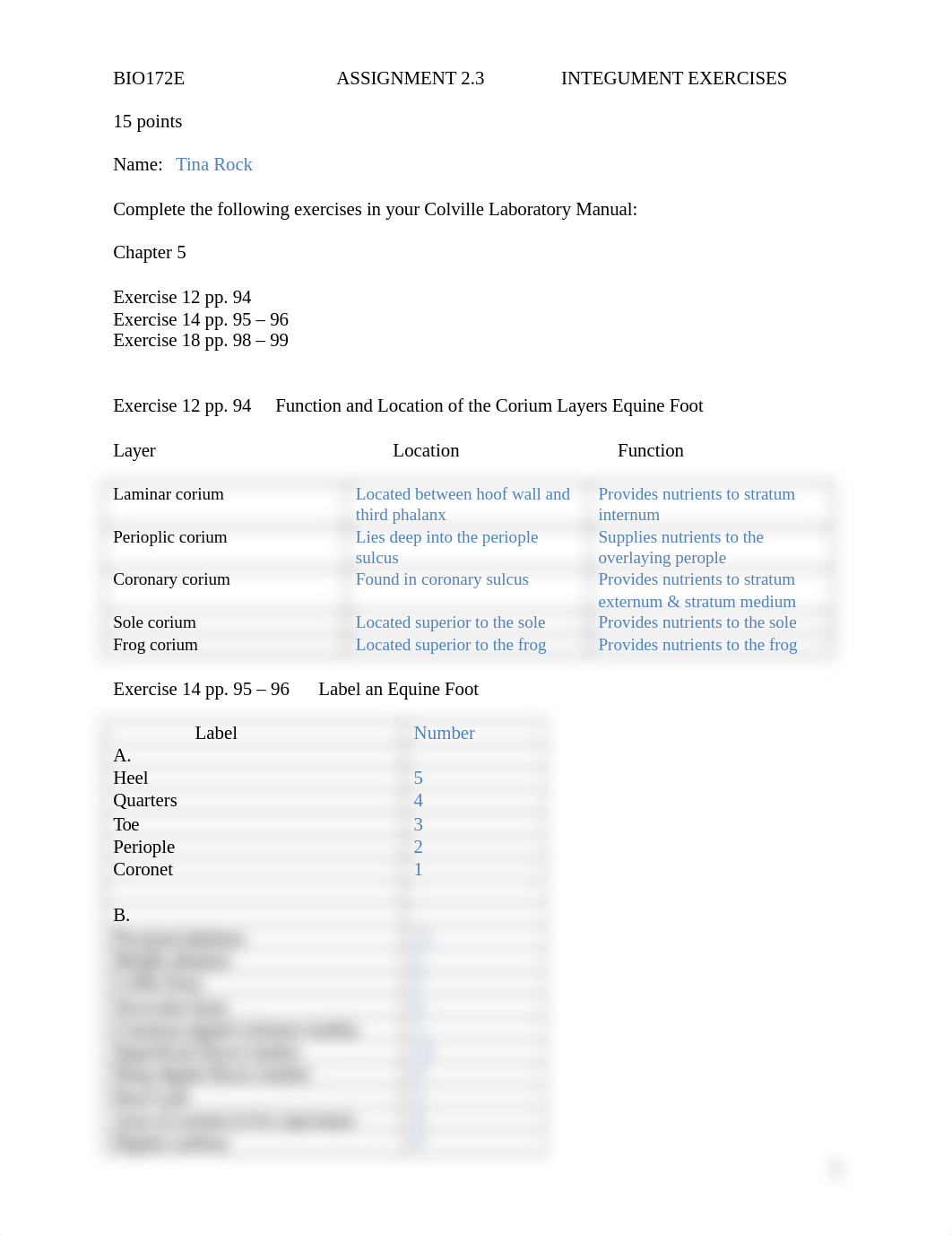 BIO ASSN 2.3 INTEGUMENT EXERCISES.docx_d9udh1v9i2z_page1