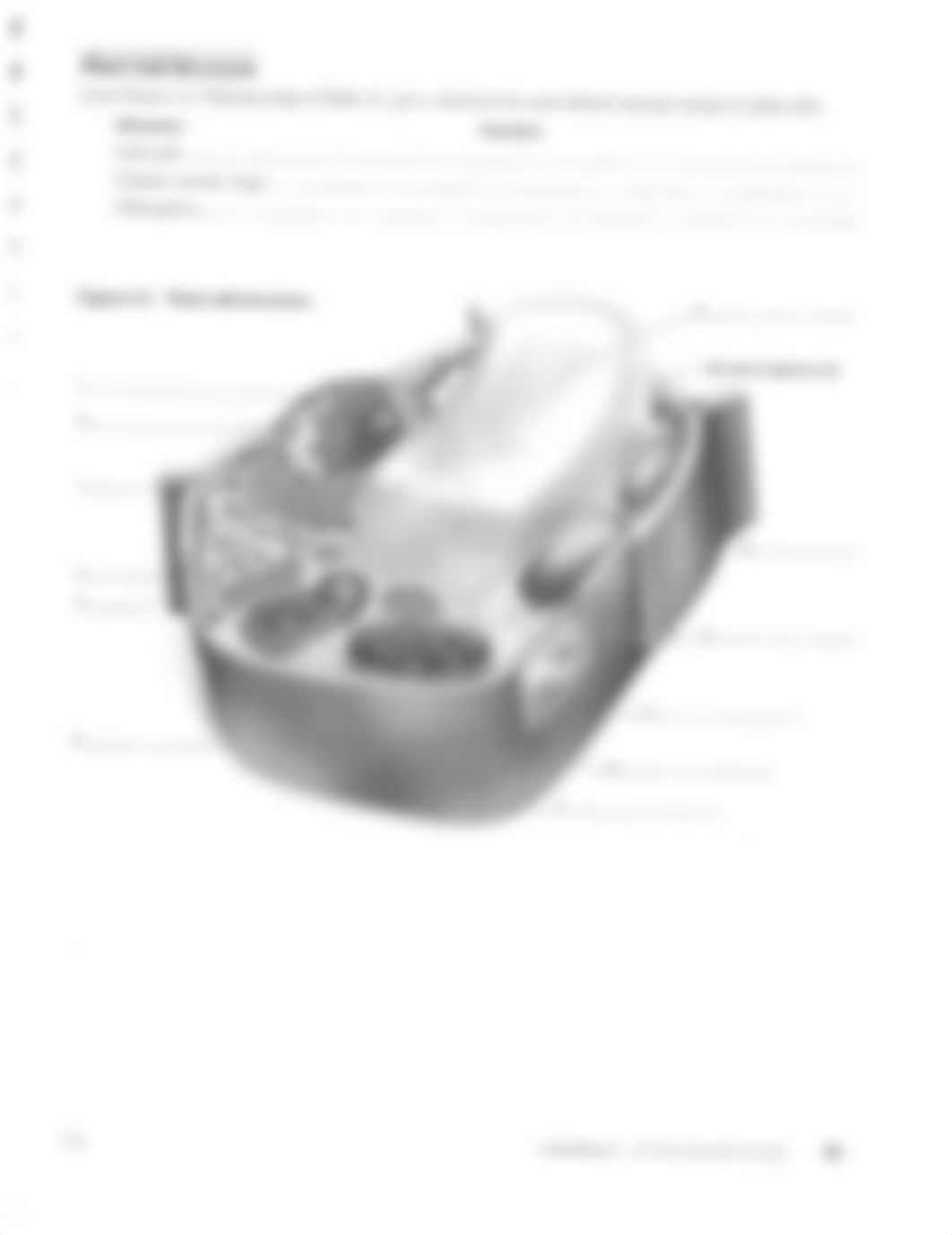 Week4CellLab_d9undqi80xm_page5