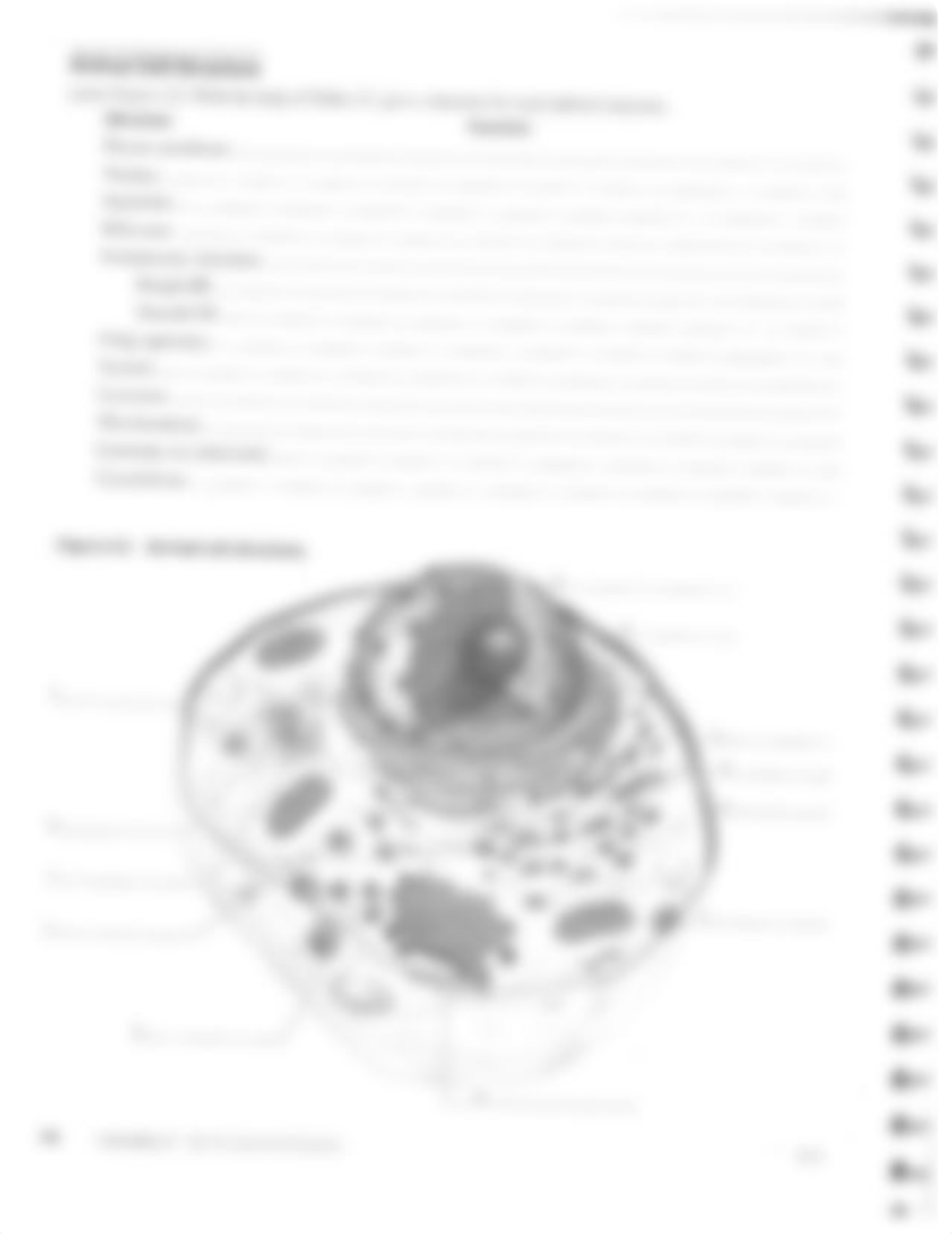 Week4CellLab_d9undqi80xm_page4