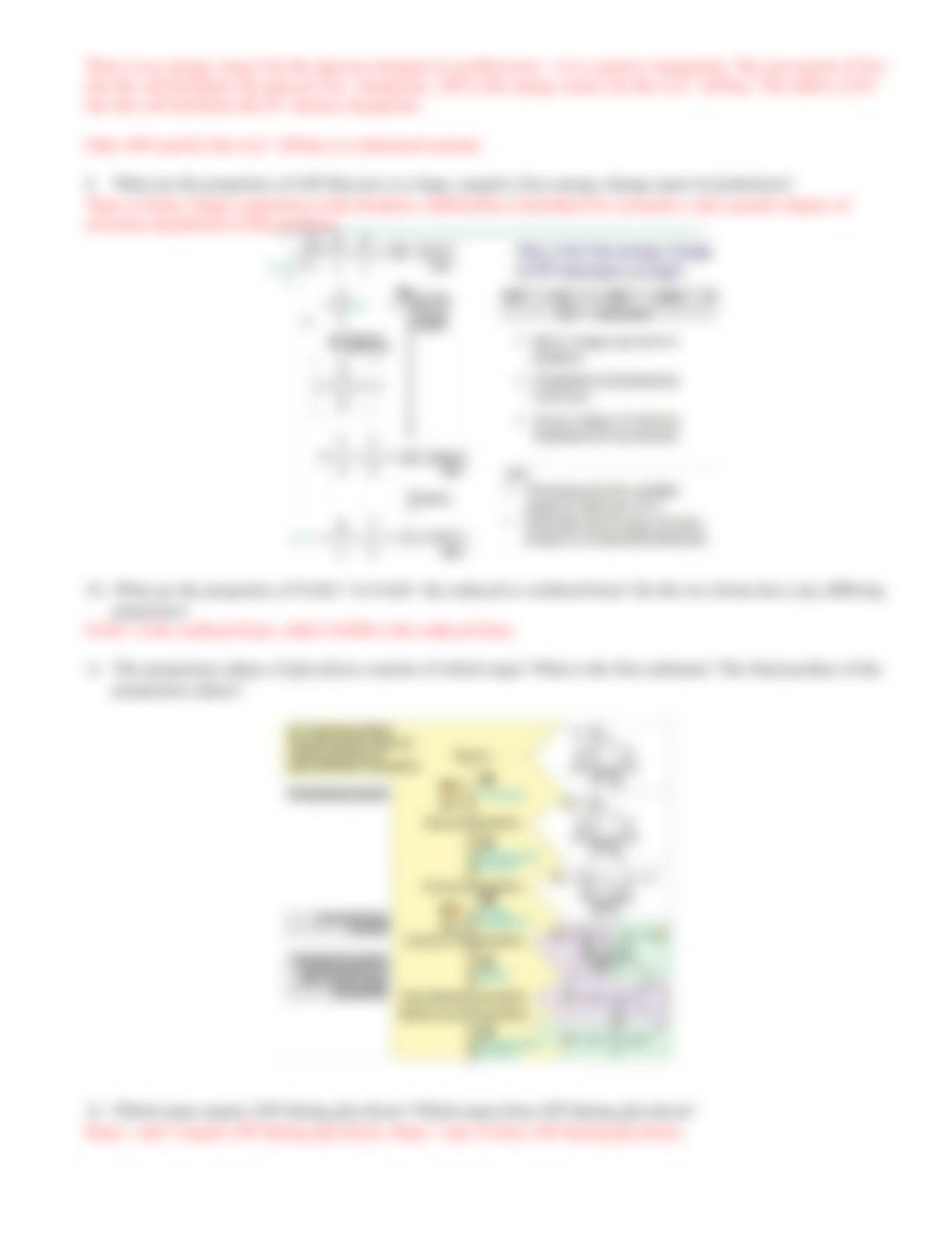 Exam 3 Study Guide .docx_d9uvb7ks6hv_page3