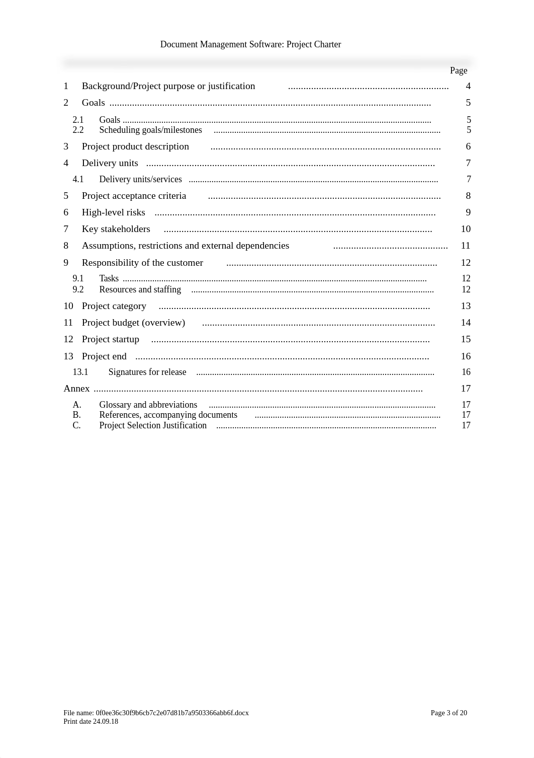 Document Management Software Project Charter.docx_d9v2lgrw9fz_page3