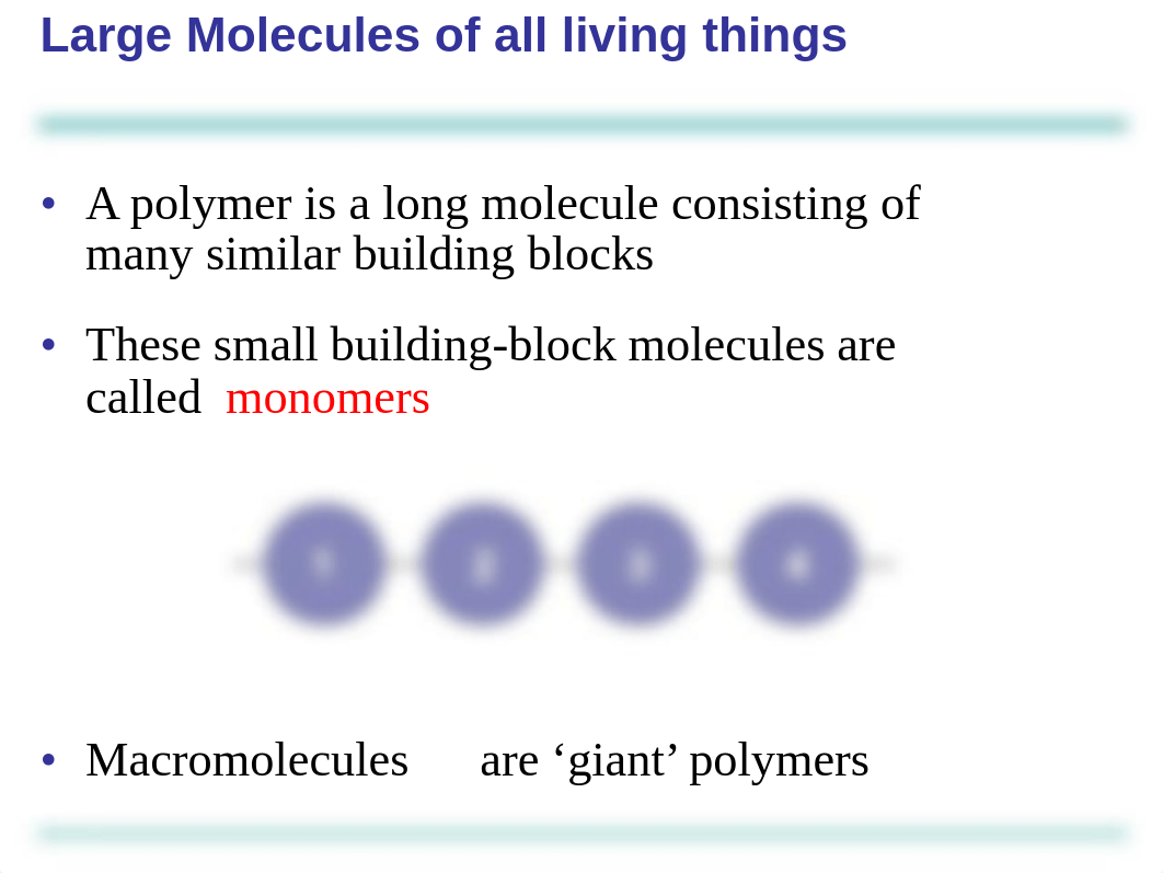 Chapter 5 - Structure and Function of Large Molecules_d9vm9f3feiv_page5