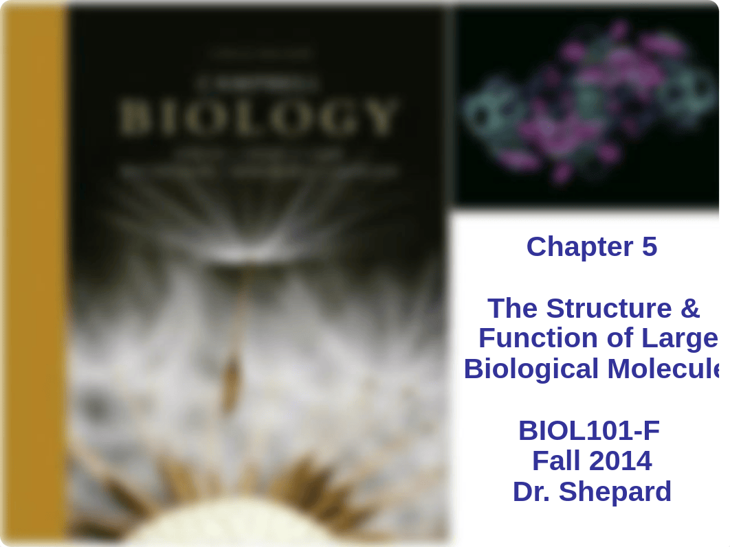 Chapter 5 - Structure and Function of Large Molecules_d9vm9f3feiv_page1