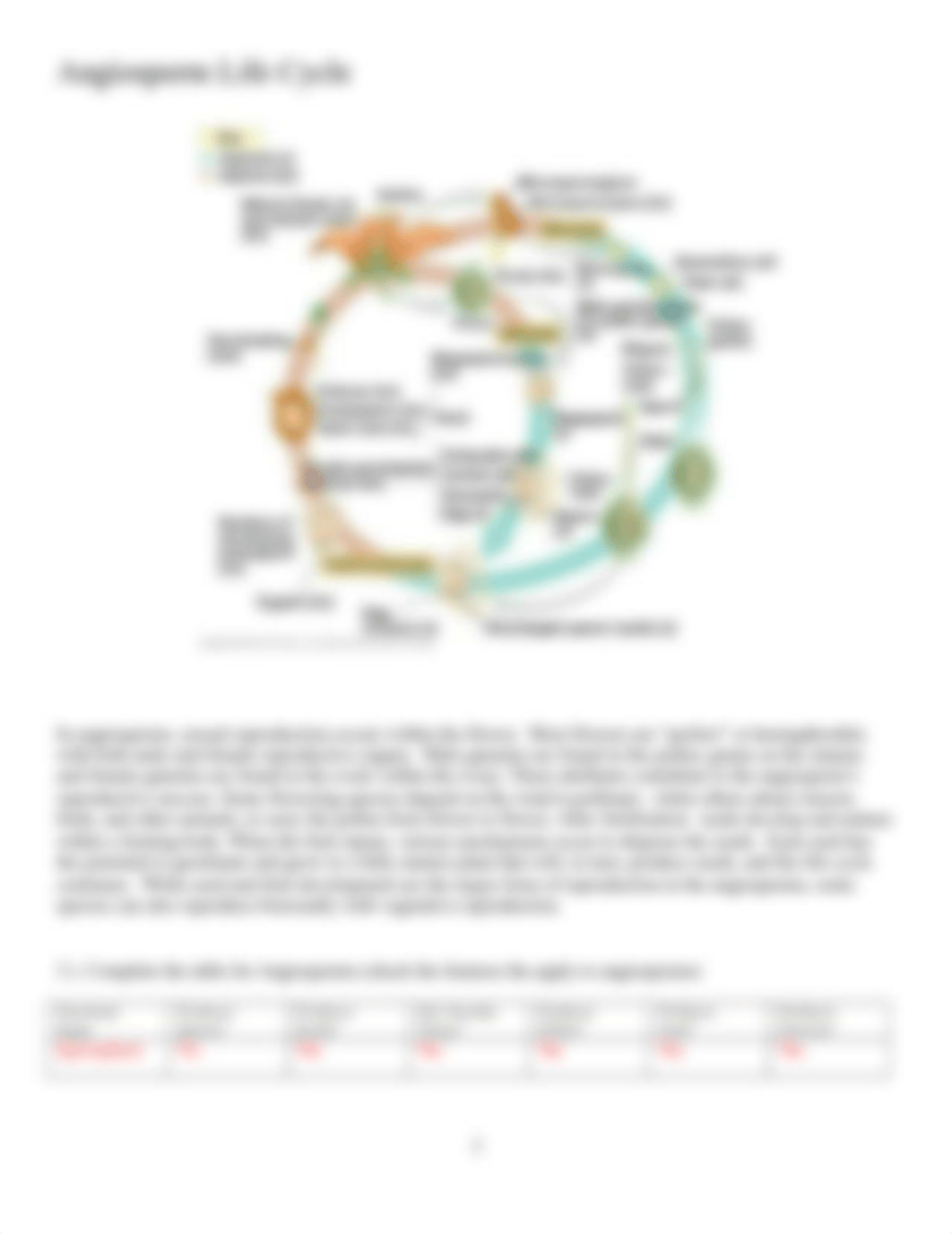 Lab 8 - Terrestrial Plants 2 - Student.docx_d9voj0arp4k_page3