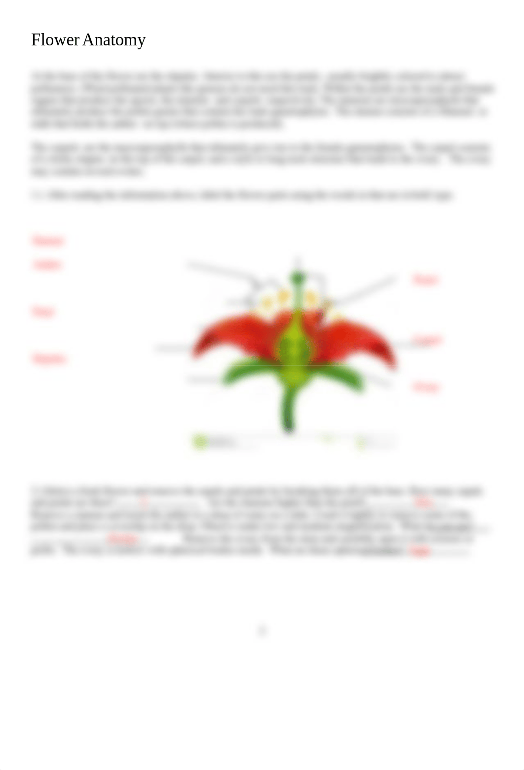 Lab 8 - Terrestrial Plants 2 - Student.docx_d9voj0arp4k_page2