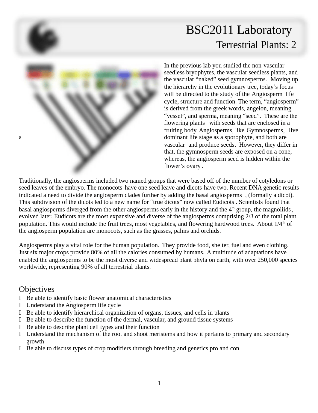 Lab 8 - Terrestrial Plants 2 - Student.docx_d9voj0arp4k_page1