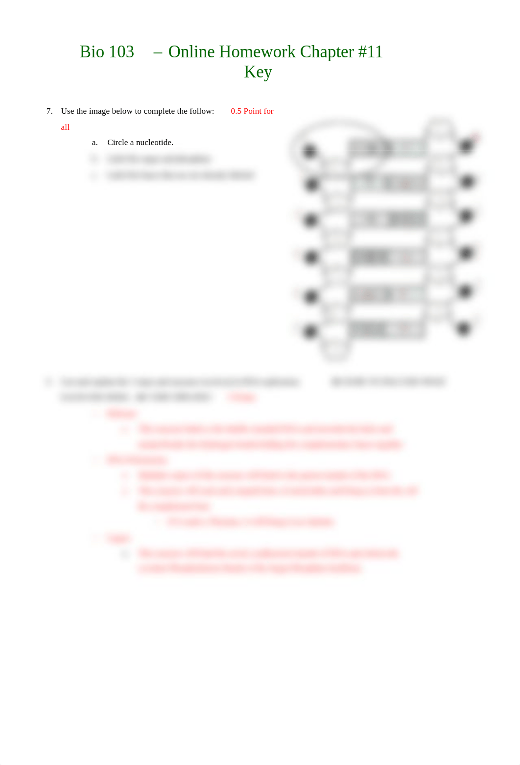 Bio 103 Homework 11 - Gene Expression KEY (1).pdf_d9vtzbp37rx_page2