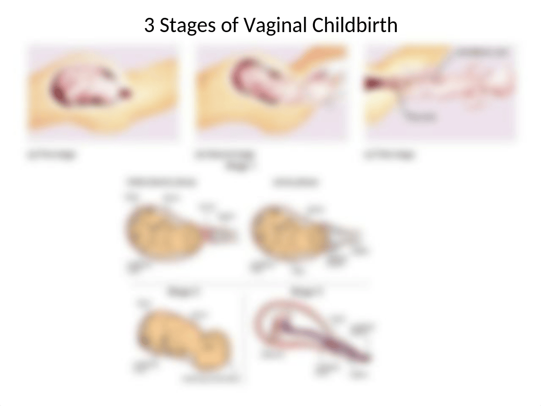 stages_of_childbirth.pptx_d9vy43i5stz_page1