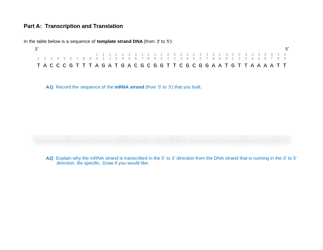 Lab 4 - Transcription, Translation, Mutations(1).doc_d9w2lhohcaz_page1