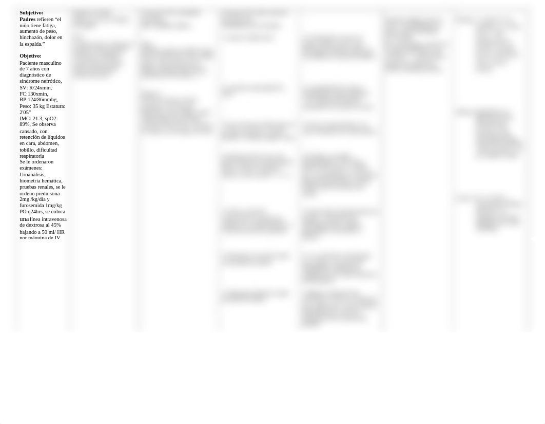 Plan de cuidado Sindrome nefrotico.docx_d9w3h74jugf_page2