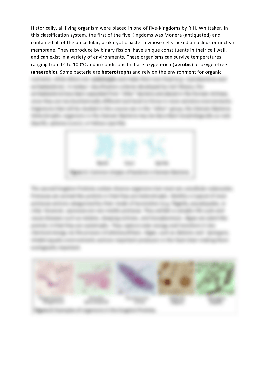 Lab 03 Diversity of Microbial Life.pdf_d9w9bvitm7u_page2