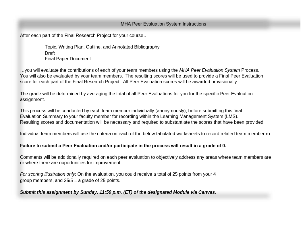 finalMHA_Writing Plan_PeerEvalSystem_Individual_Group_Form (2).xlsx_d9wj4mb81fw_page1