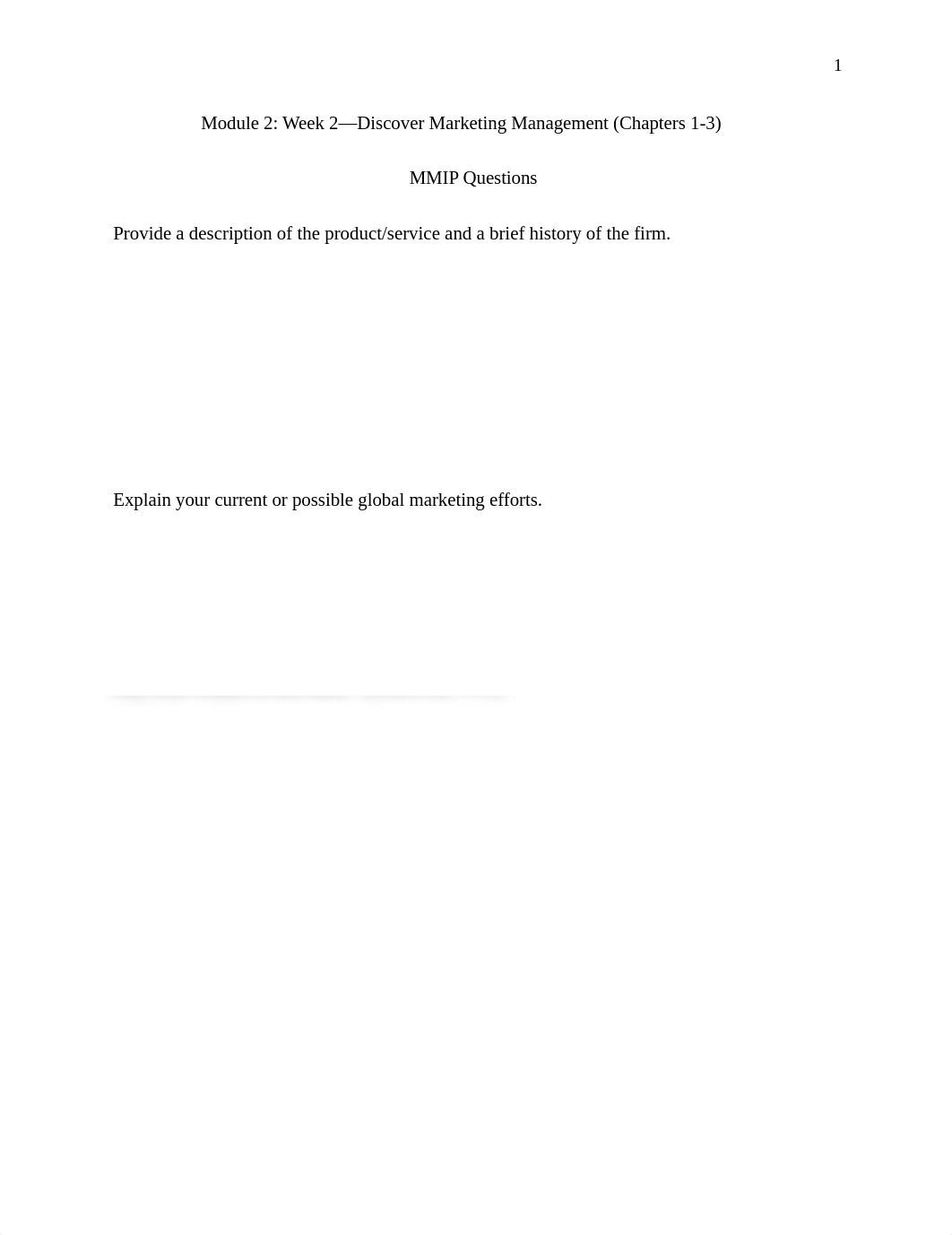 MMIP Installment - Discover Marketing Management Assignment_CH.docx_d9wlcm7vtdz_page1