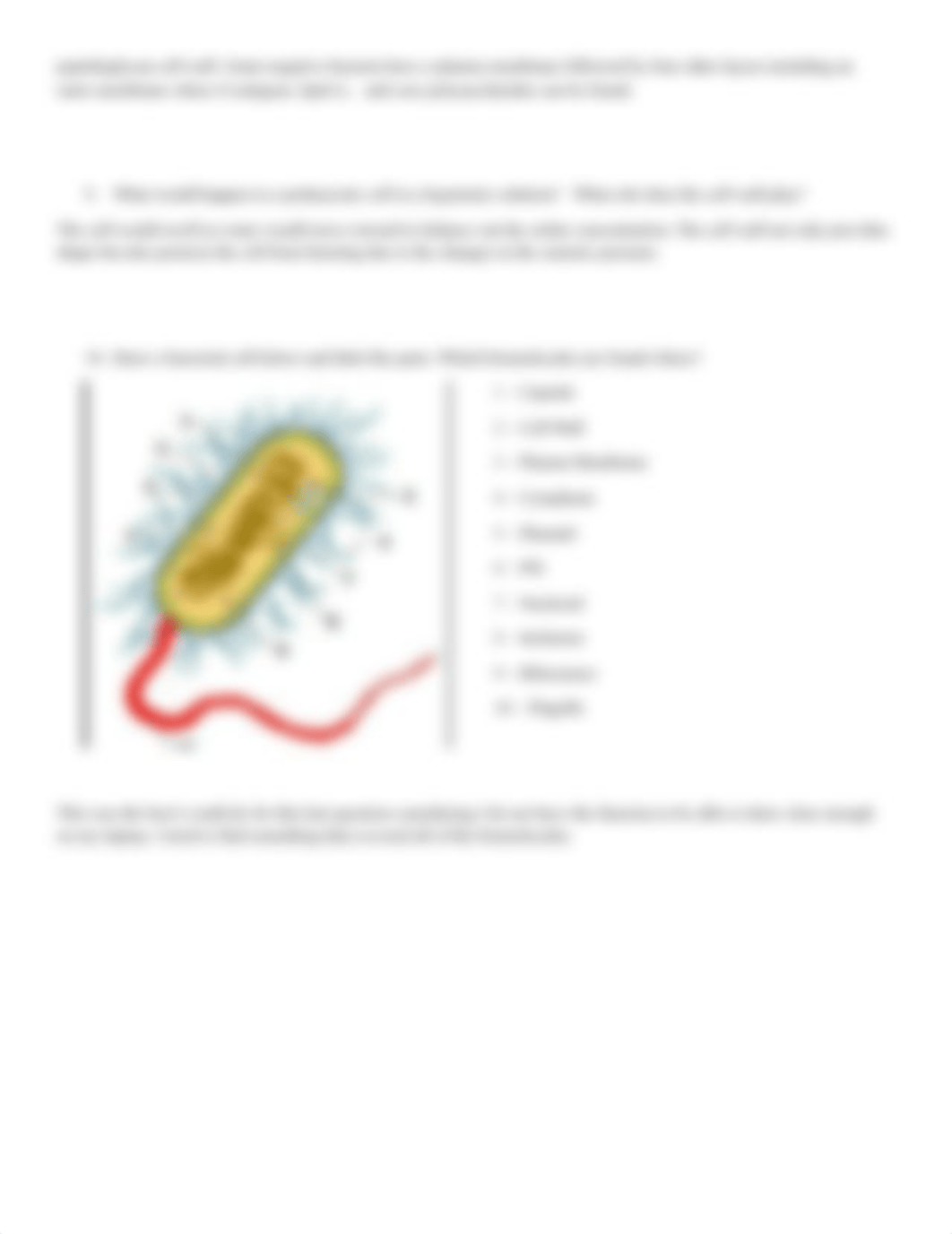 Module 1 Review Worksheet.docx_d9wlgdxrgd5_page2