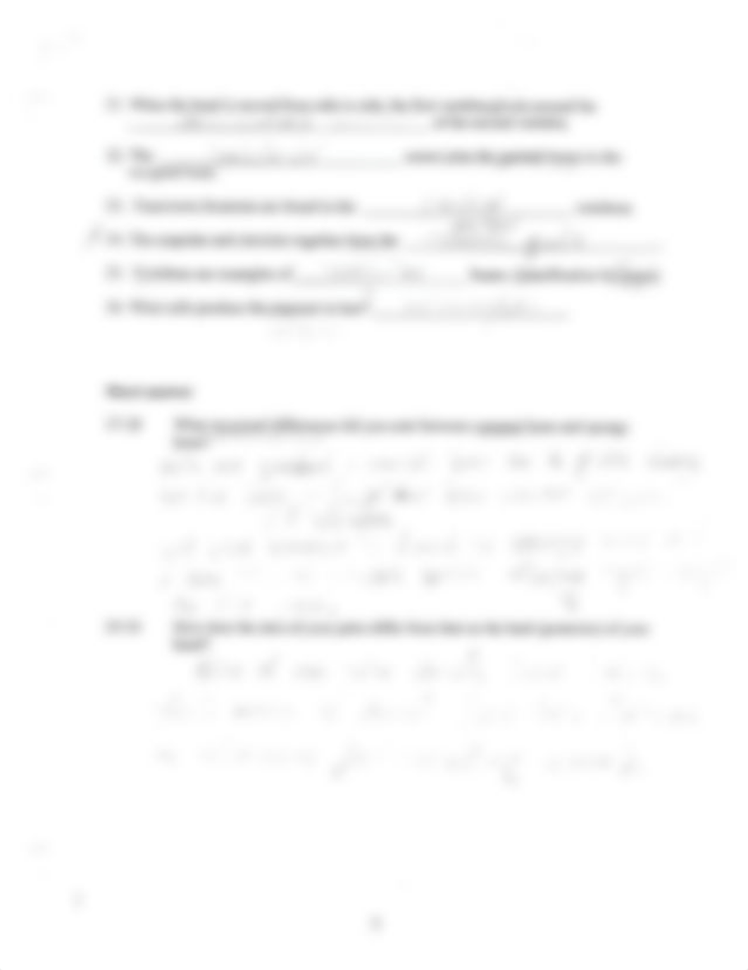 Lab Exam 2.pdf_d9wor27r7h5_page5