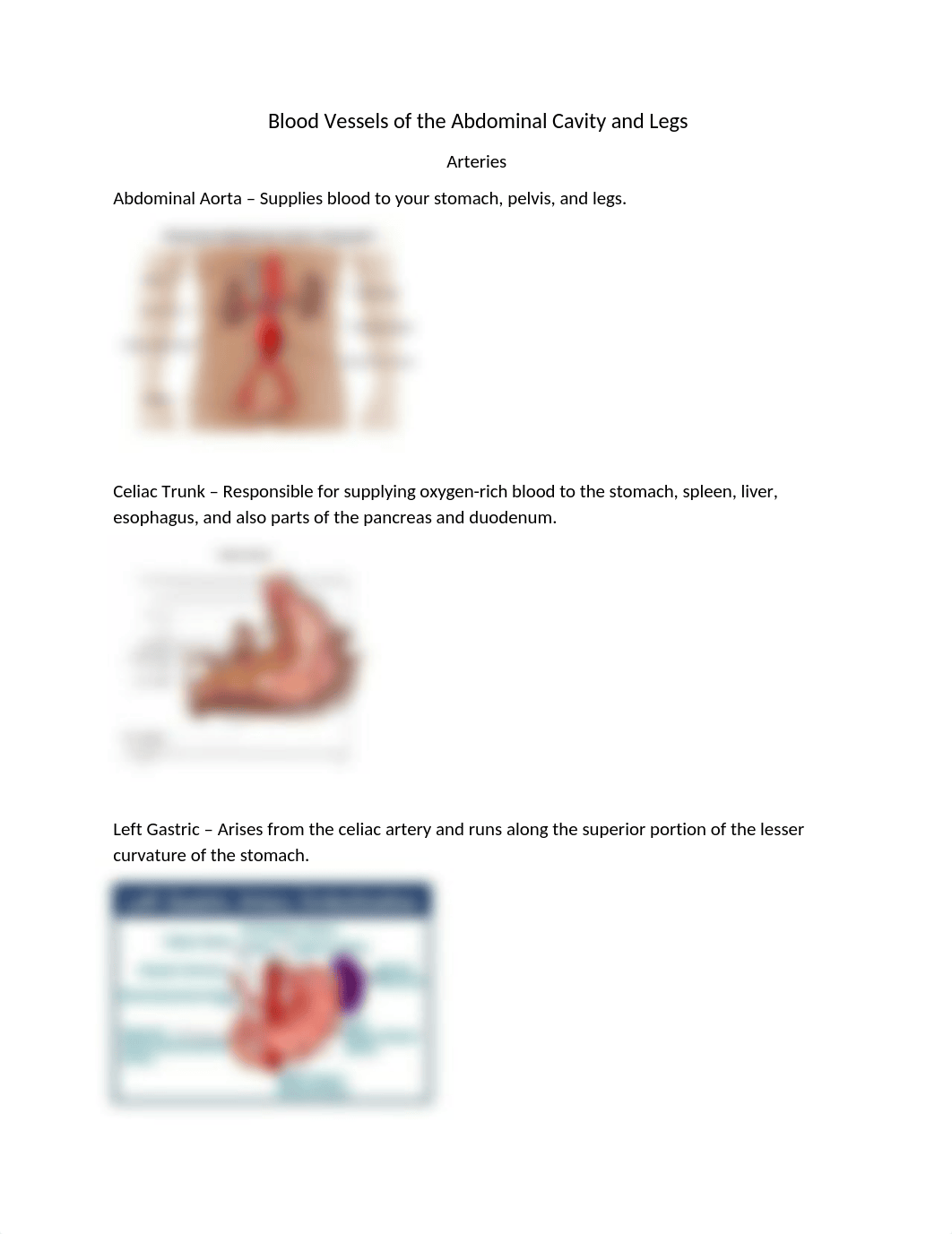 Arteries (Abdominal Cavity and Legs).docx_d9wv5inesqr_page1