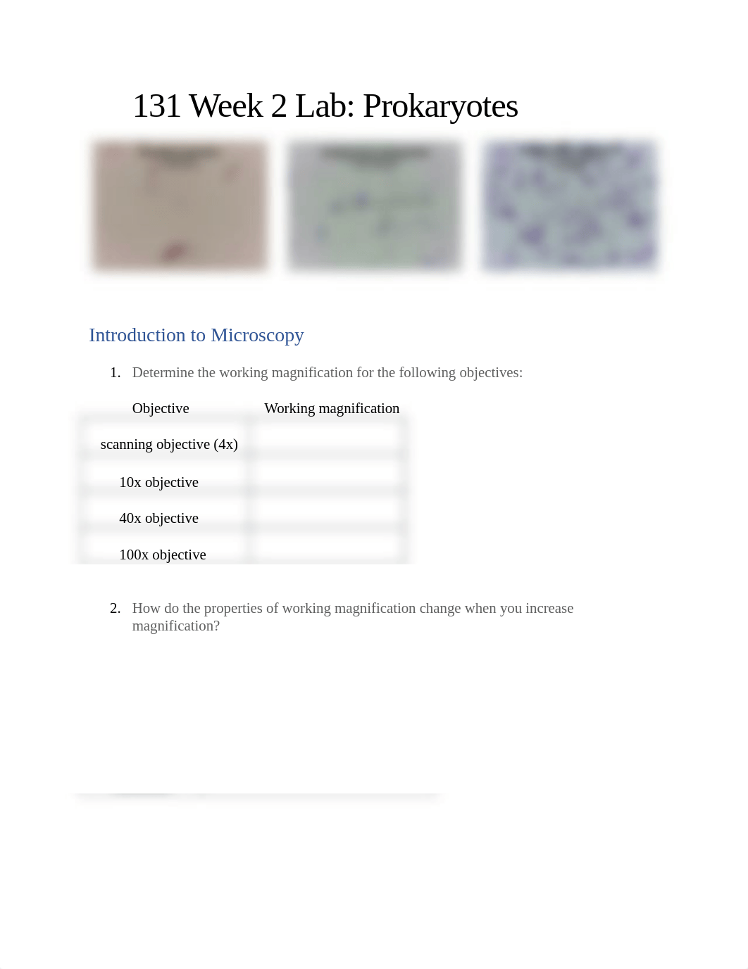 131-Week-2-Lab-Prokaryotes-WORKSHEET (1).docx_d9x006jh4jz_page1