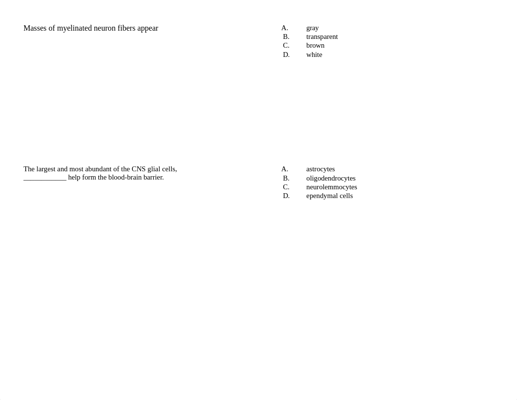 Self-test Intro to NS & its anatomy Ch 12.docx_d9x2r41is41_page4