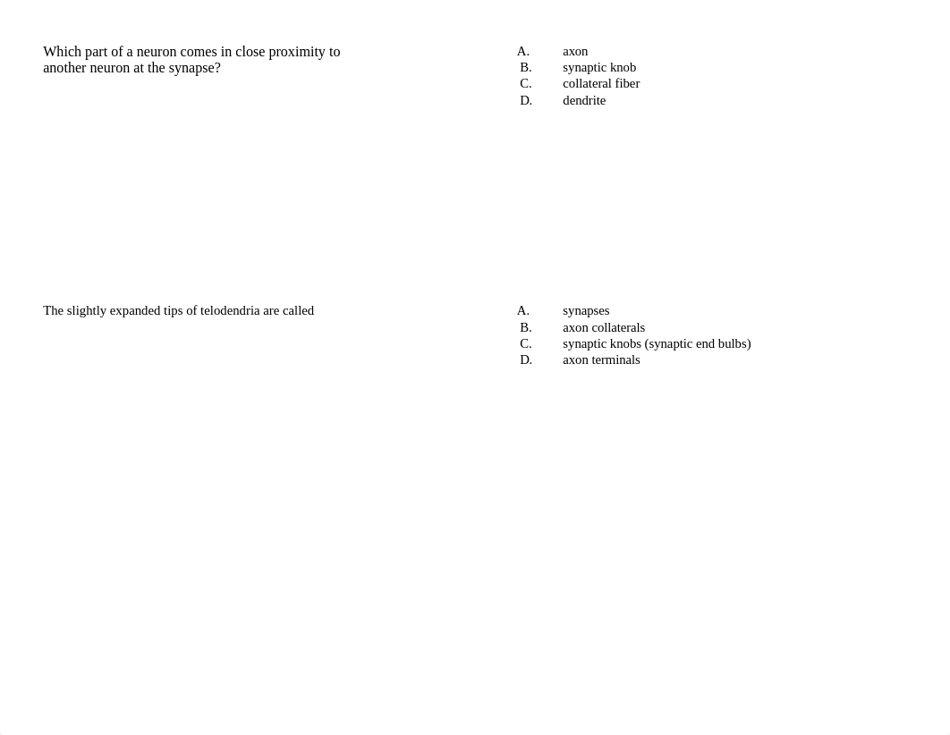 Self-test Intro to NS & its anatomy Ch 12.docx_d9x2r41is41_page5