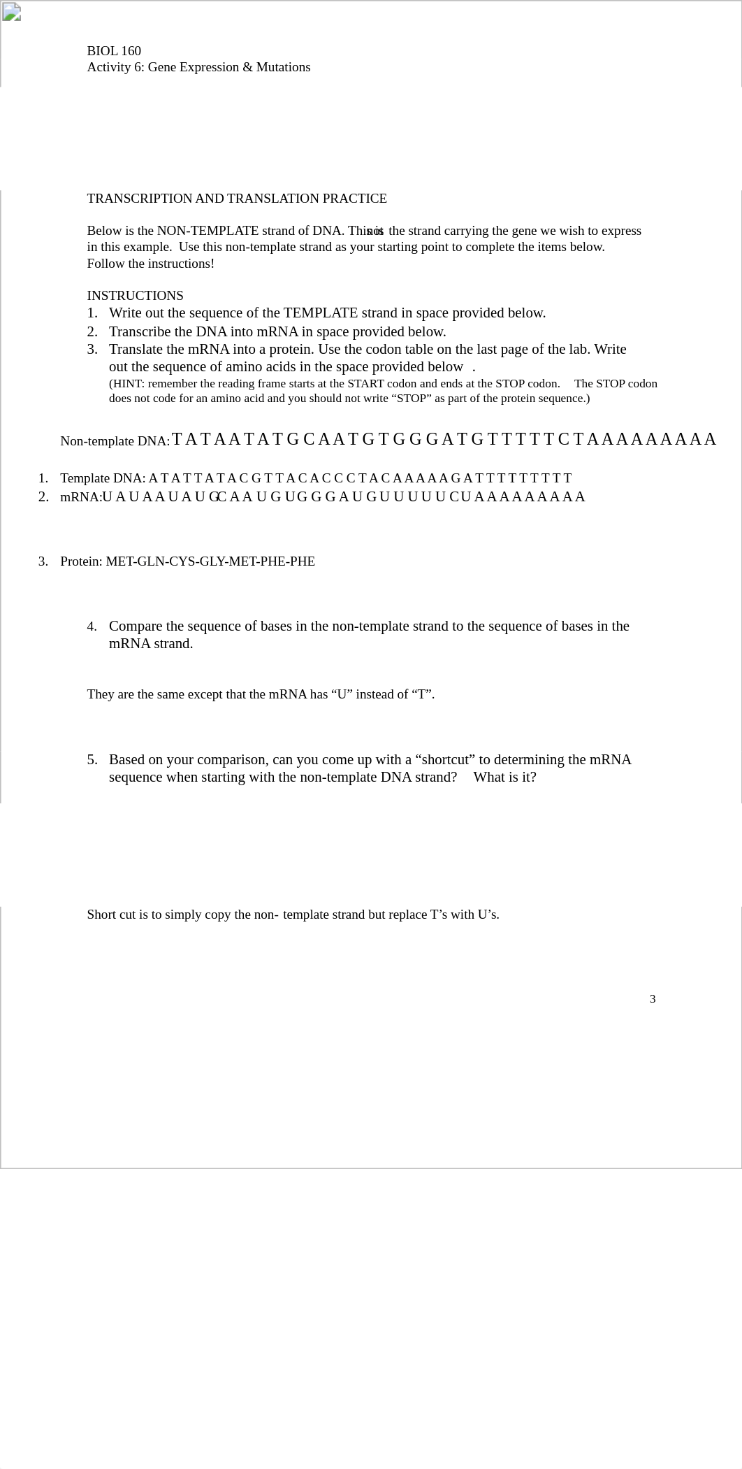 Activity 6 Gene Expression & Mutations KEY.pdf_d9x83hewc4d_page3