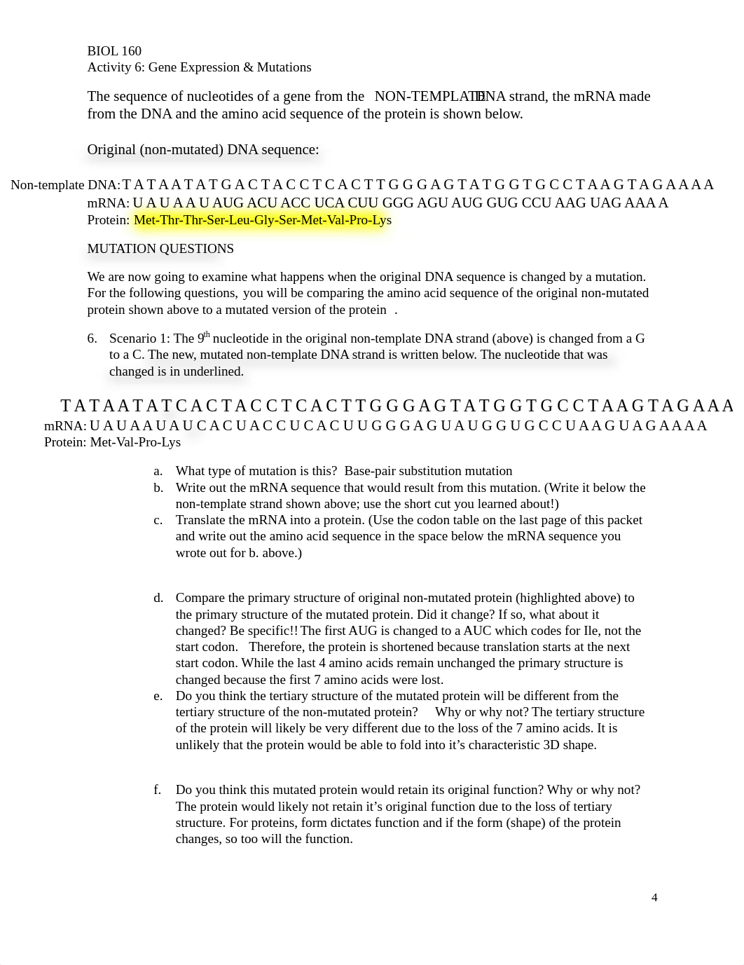 Activity 6 Gene Expression & Mutations KEY.pdf_d9x83hewc4d_page4