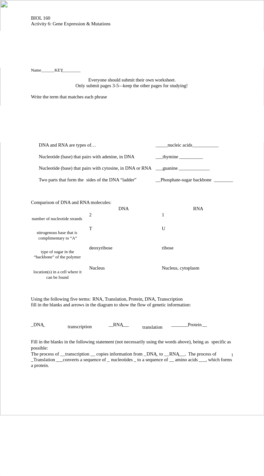 Activity 6 Gene Expression & Mutations KEY.pdf_d9x83hewc4d_page1