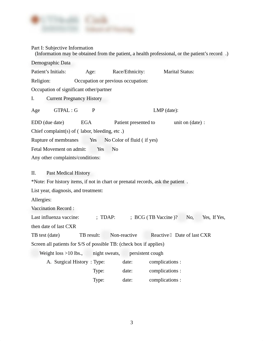 Maternal Assessment_Form (NEW19F).docx_d9x9ye40wdk_page3