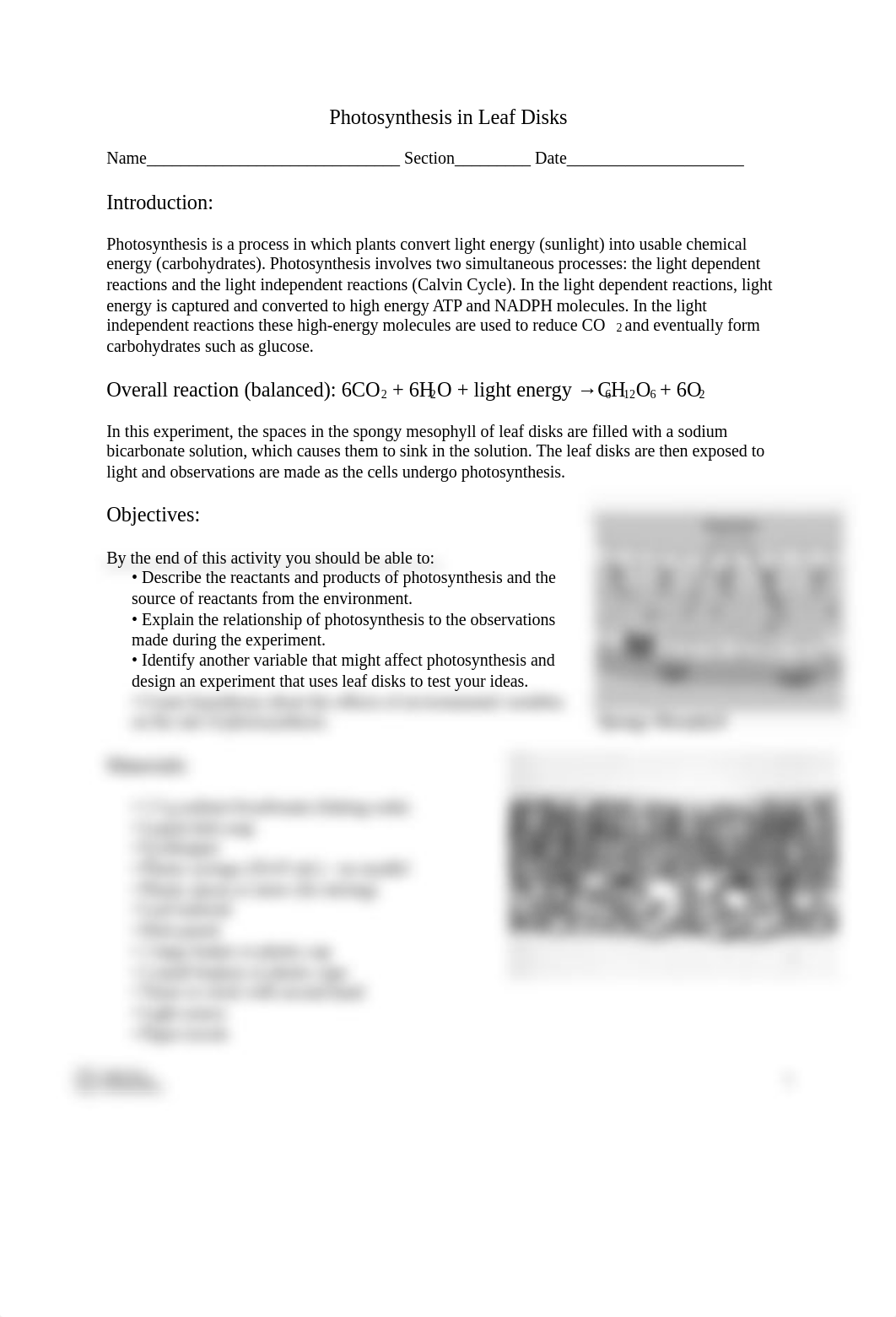 Photosynthesis in Leaf Disks.docx_d9xmkygv2nx_page1