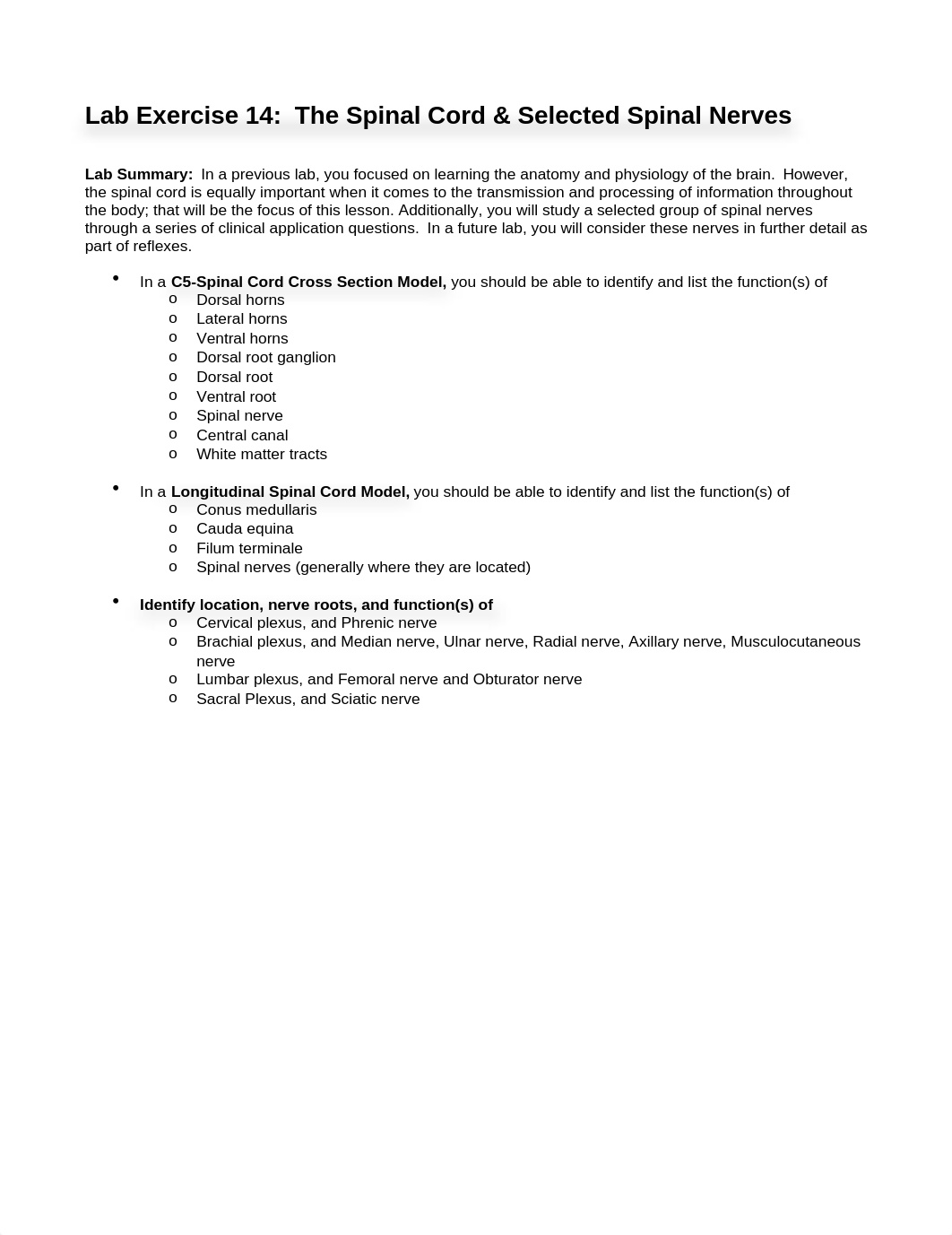 Lab_14-The_Spinal_Cord__Selected_Spinal_Nerves_v2_with_KLB_drawings_bHHODD1.docx_d9xrnr05pte_page1