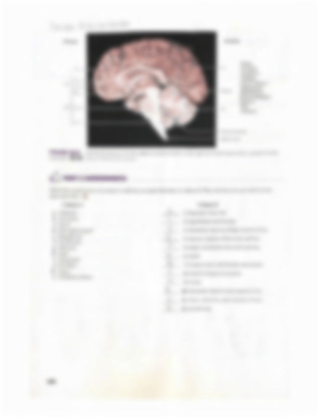 Lab Reports 25, 26, 28, and 29.pdf_d9xufg2axey_page4