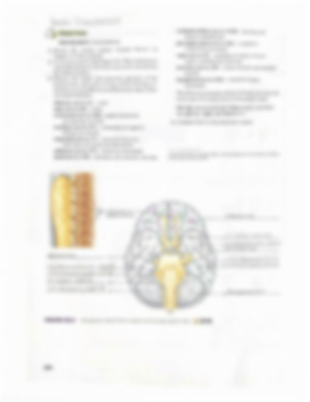 Lab Reports 25, 26, 28, and 29.pdf_d9xufg2axey_page2