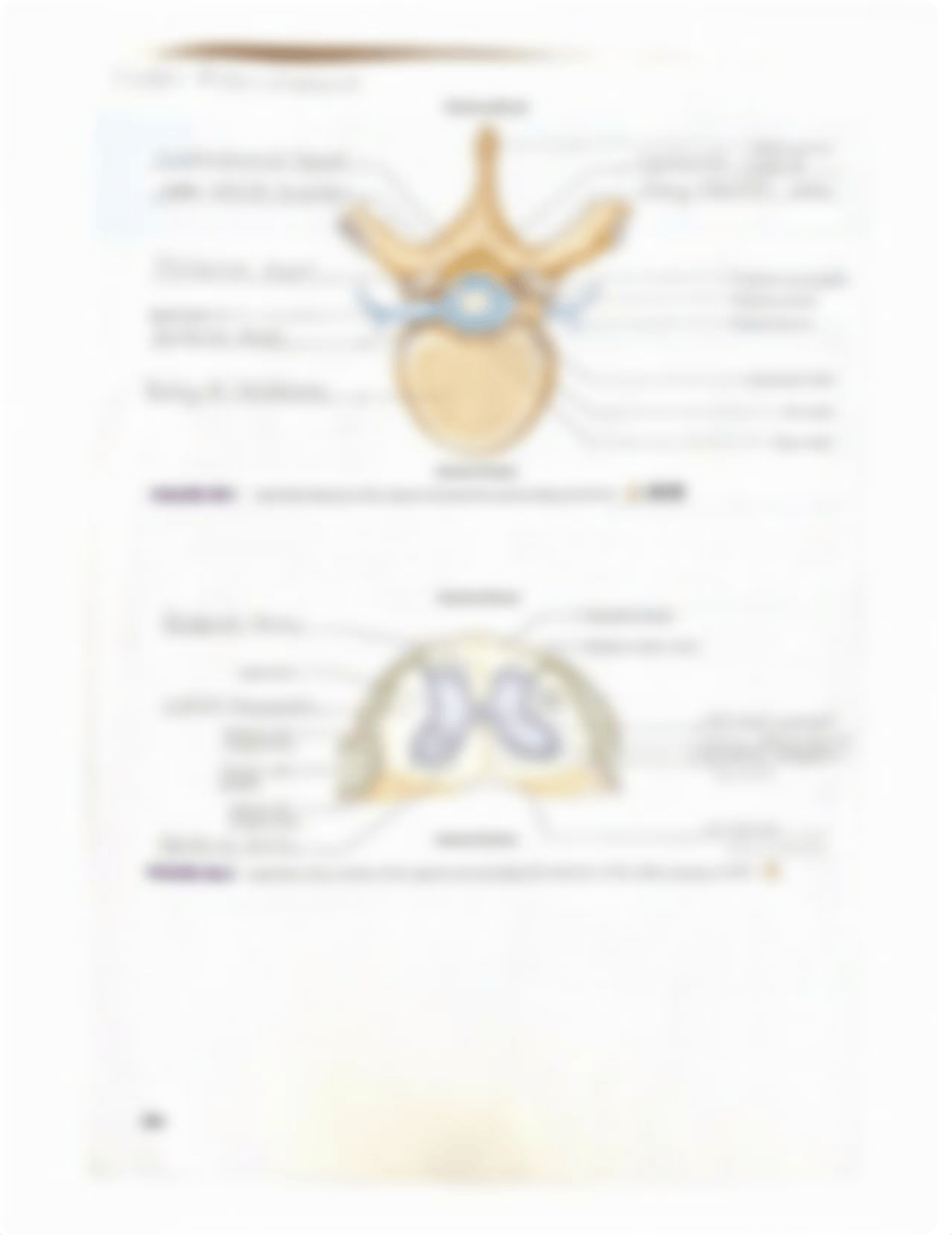 Lab Reports 25, 26, 28, and 29.pdf_d9xufg2axey_page5