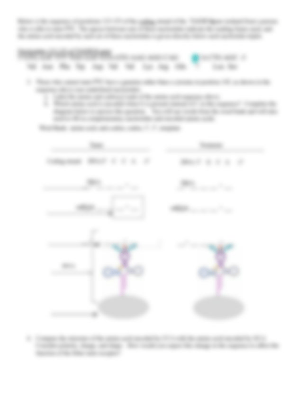 UPDATED_STUDENT HANDOUT_Tying it all together_Bitter Taste.docx_d9xwxihp8yy_page2