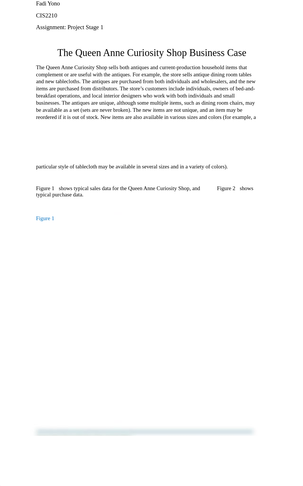 Project Stage 1.docx_d9xyo4ybmfy_page1