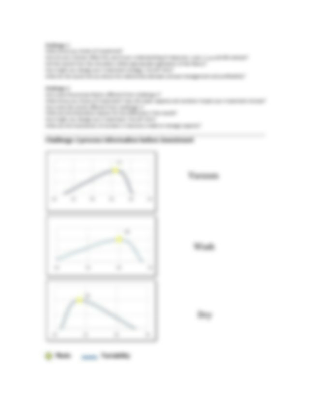 Balancing capacity Simulation and Memo.pdf_d9xzdo9h8kw_page2