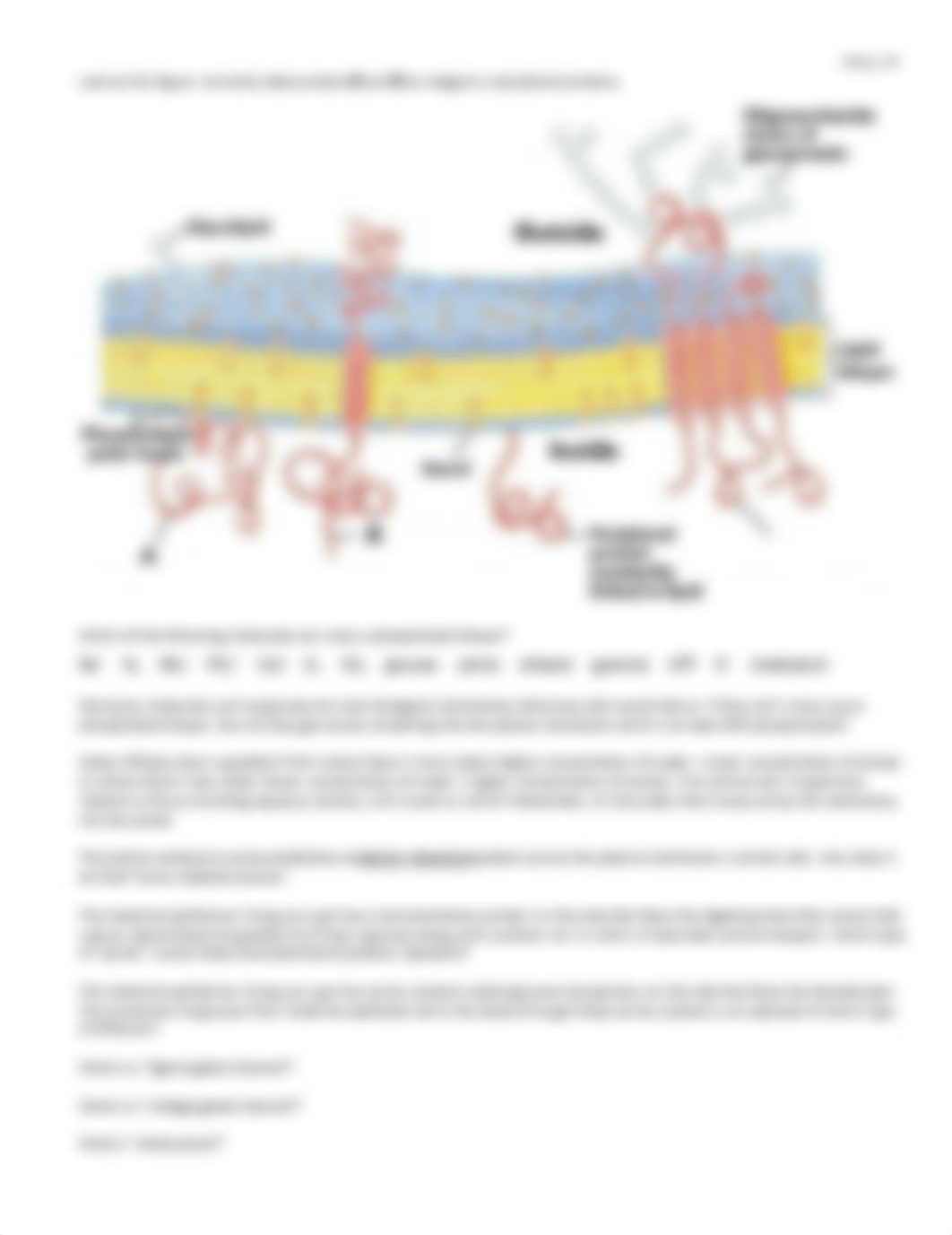 Study Guide 3_d9y0r4ojzmn_page2