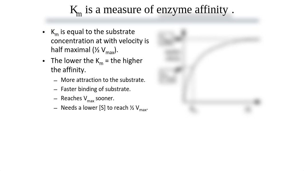 Video 4-3 Enzyme Kinetics.pdf_d9y97ur30s7_page3