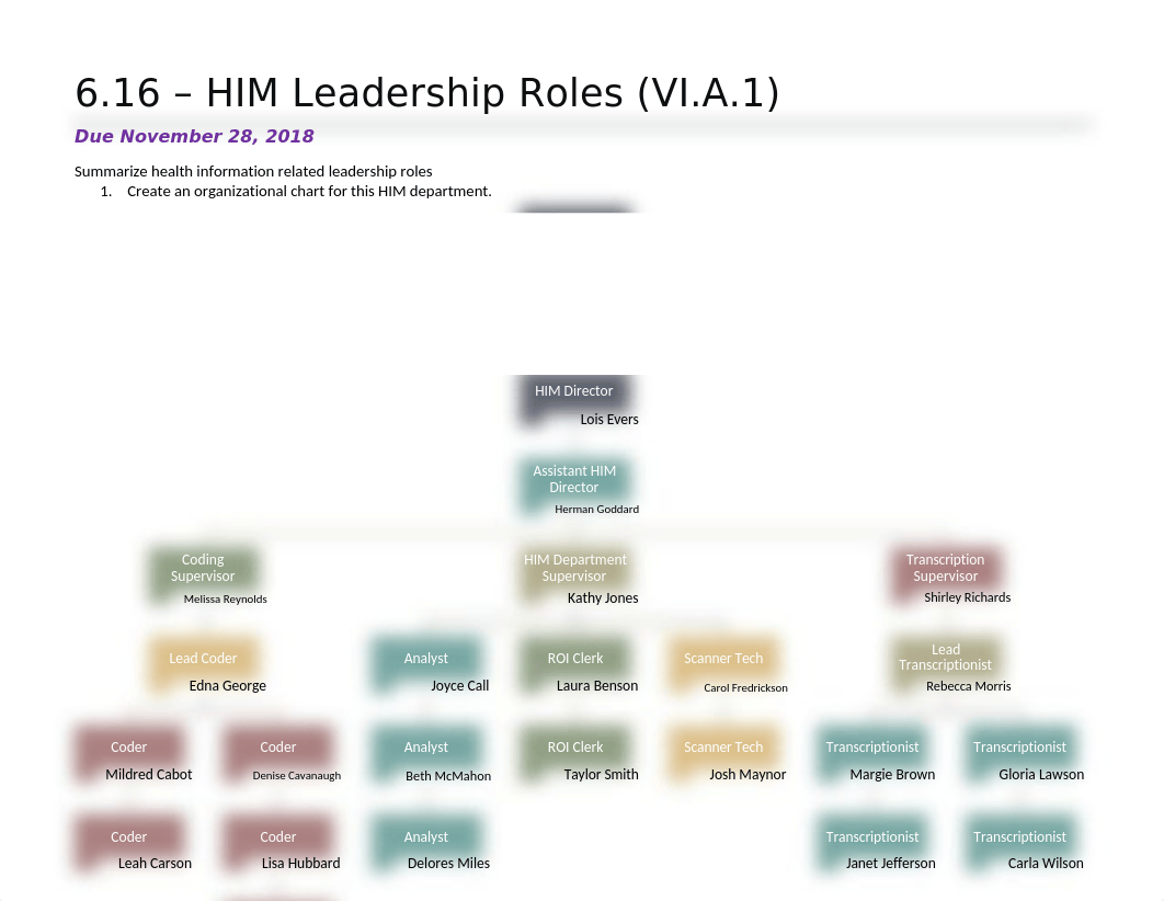 6.16 - HIM Leadership Roles (1101).docx_d9ya4qaa9x9_page1