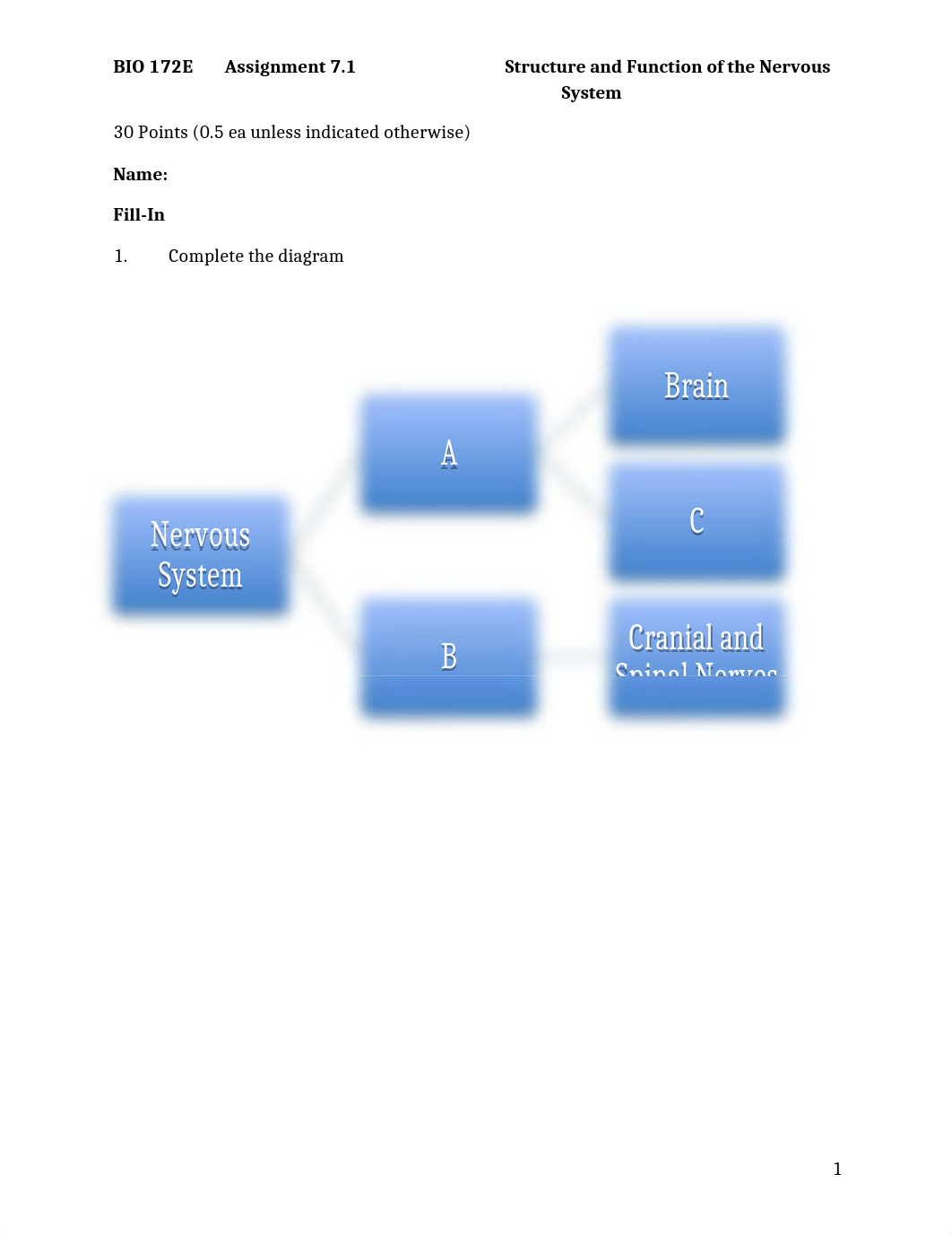 ASSN 7.1 Structure and Function of the Nervous System.docx_d9ygxvfjeac_page1