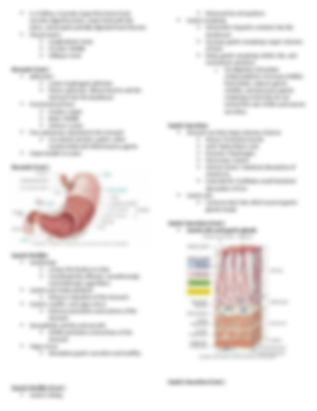 Digestive system - structure & functions.docx_d9yh1nh3khv_page3