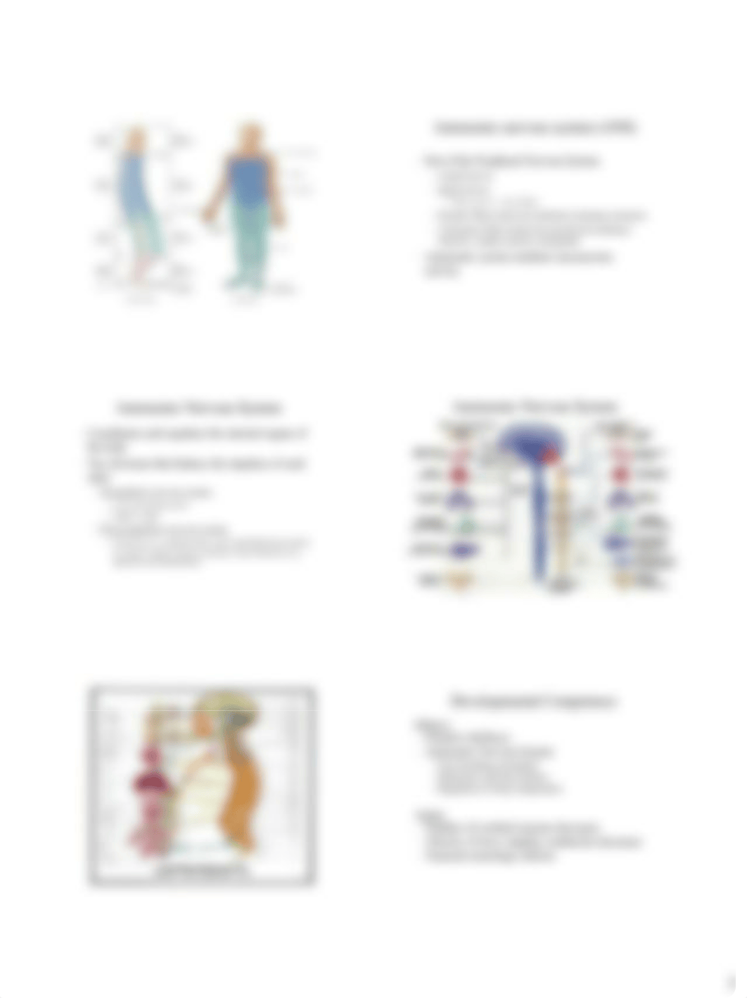 Chapter 23 Neuro Lecture.pdf_d9yhi3tkhfb_page5