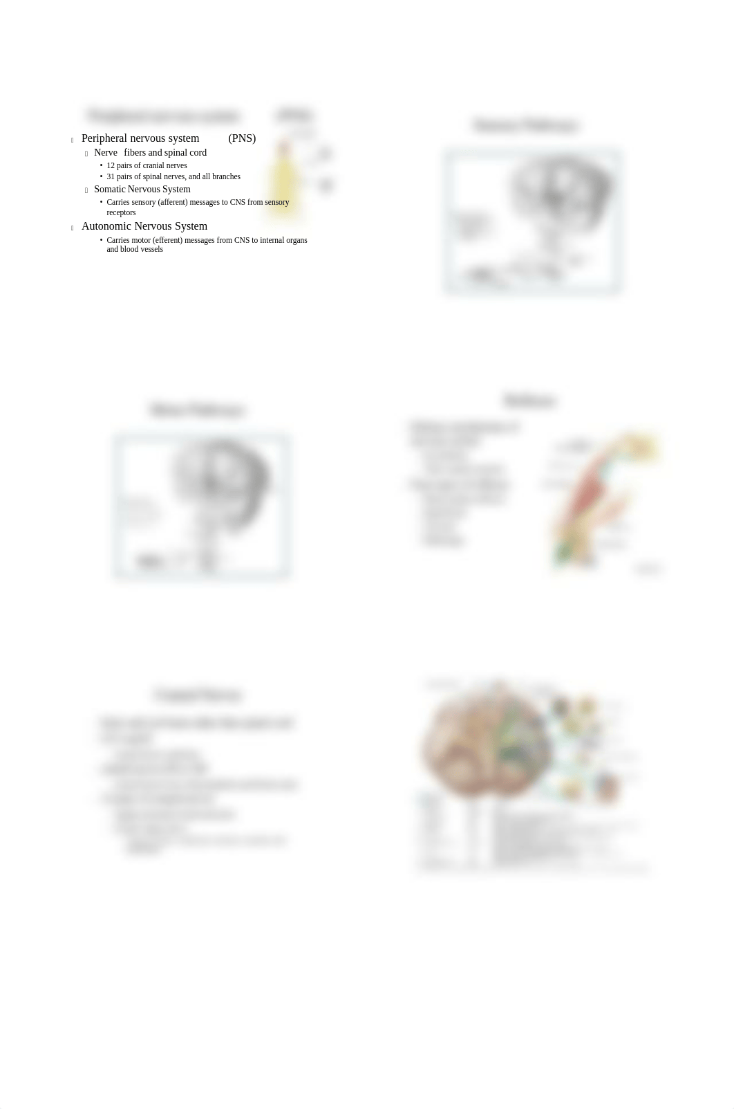 Chapter 23 Neuro Lecture.pdf_d9yhi3tkhfb_page4