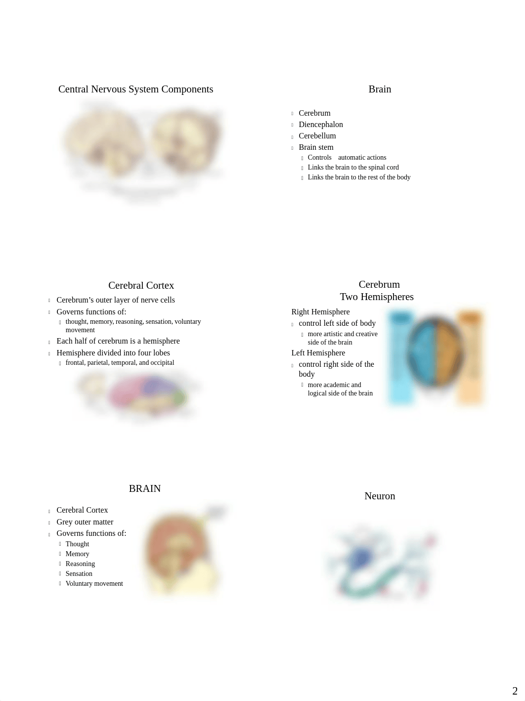 Chapter 23 Neuro Lecture.pdf_d9yhi3tkhfb_page2