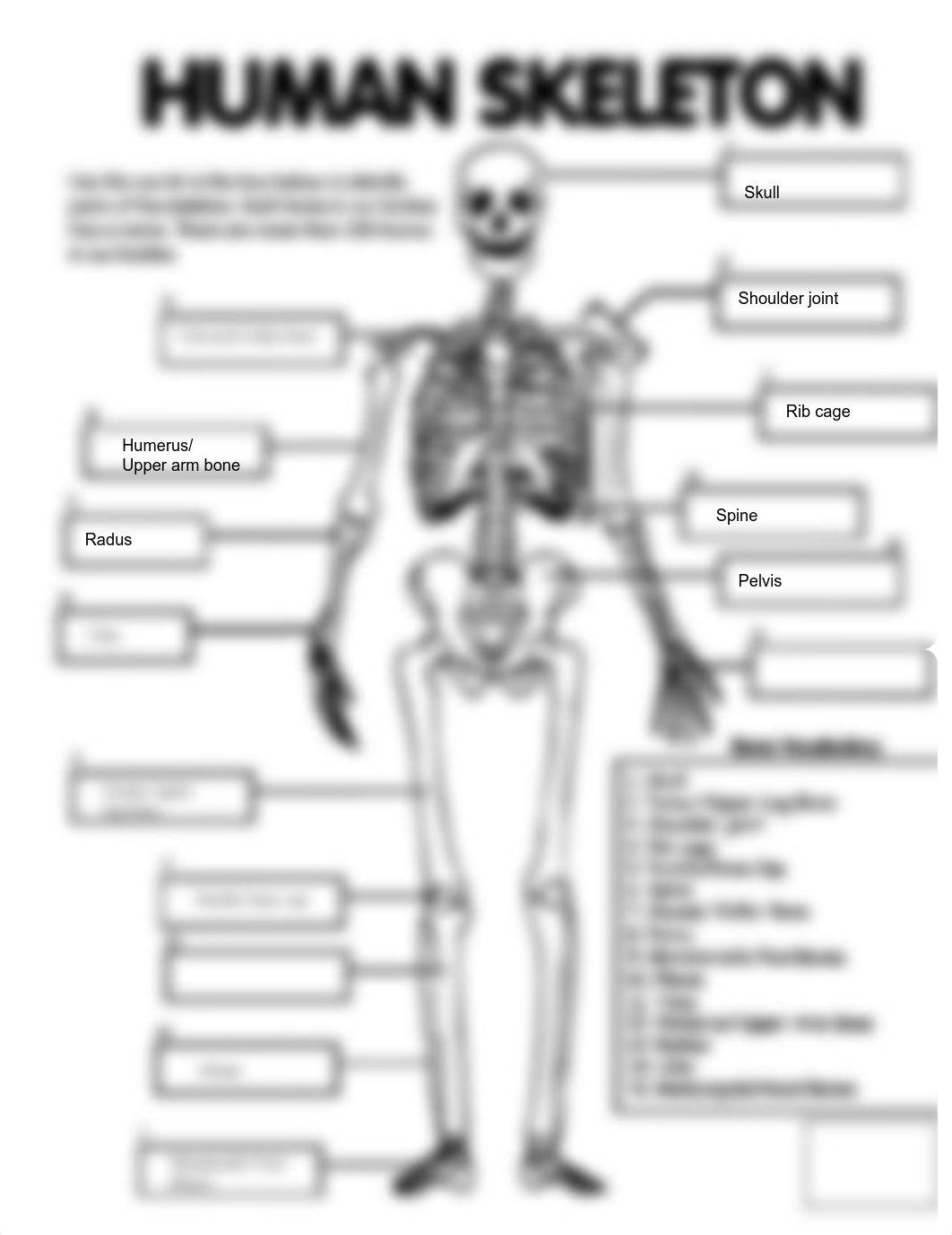 Skeleton Diagram (I.H).pdf_d9yk8vmmc23_page1